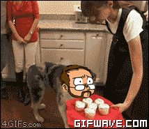 dog-war.gif