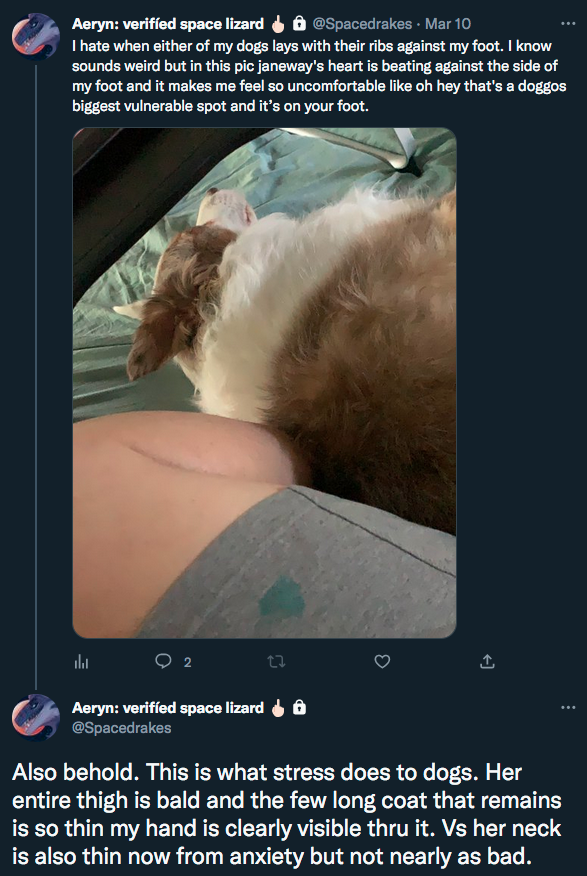 dogbalding.png