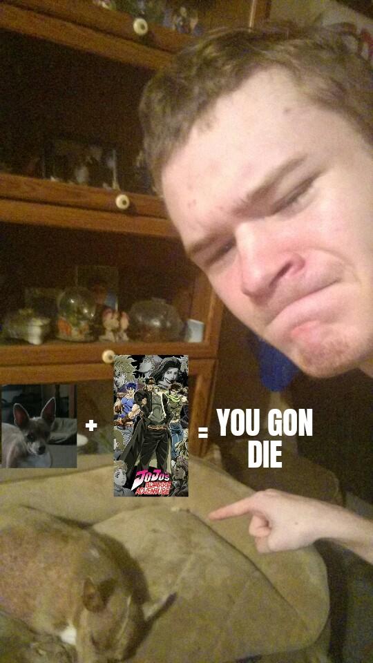 dogjojomeme.jpg