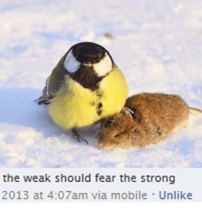 dom1562771433717tit.jpg