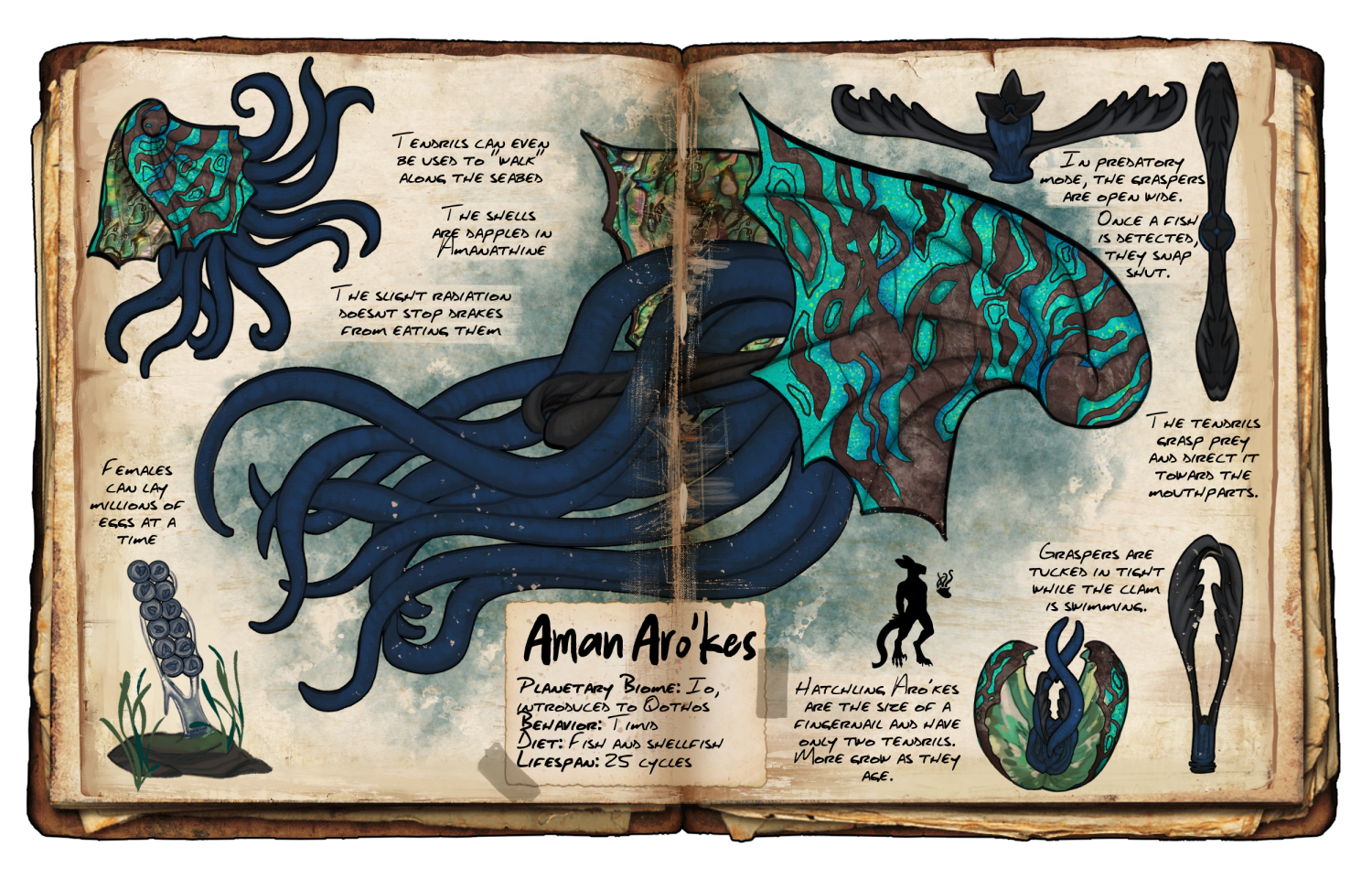 dossier-crystalclams.png