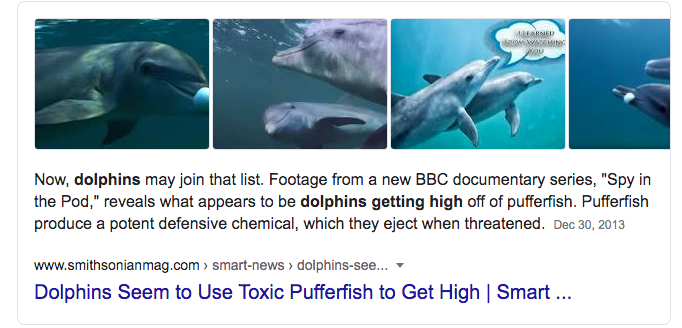 druggie fish.png
