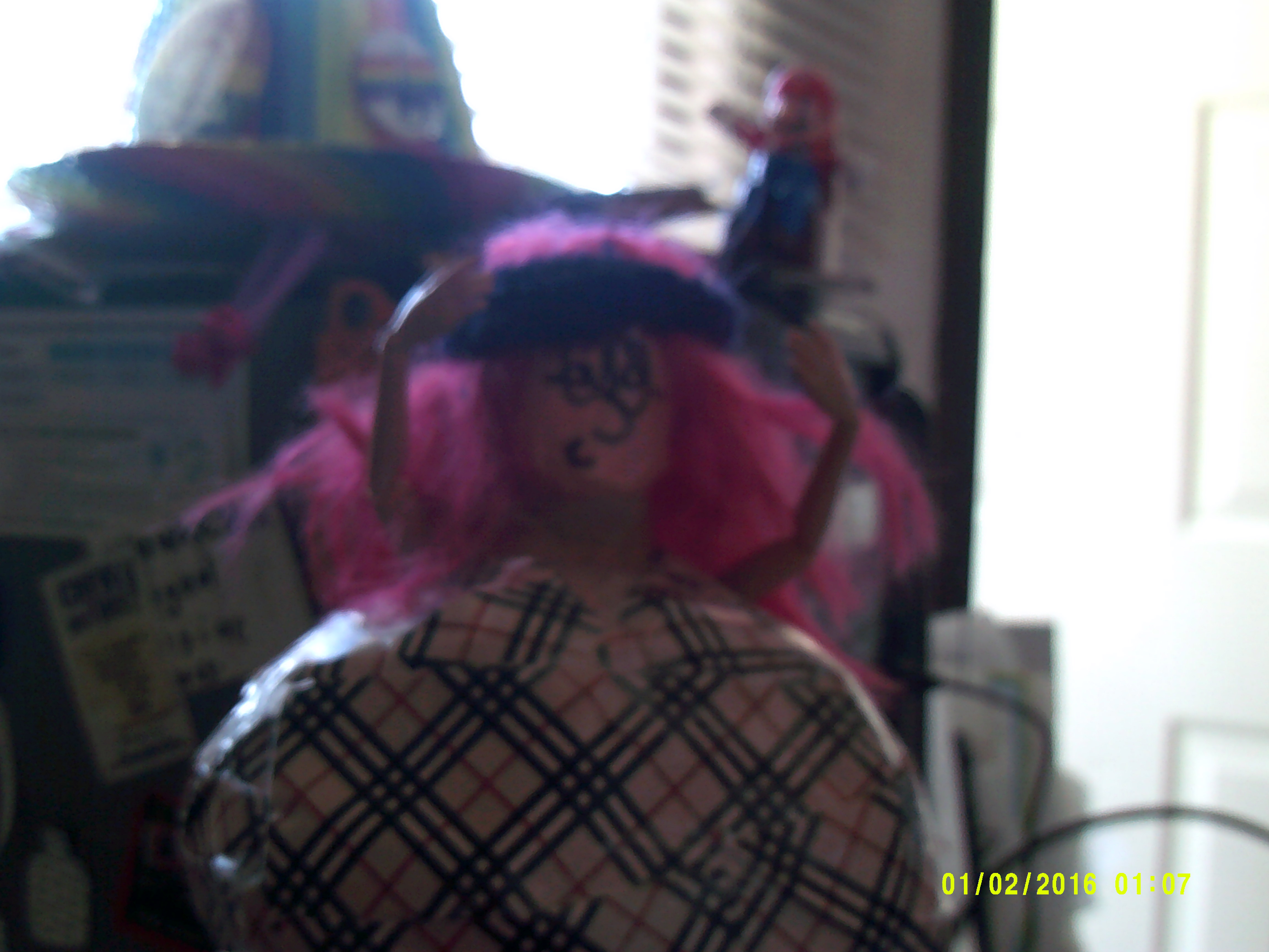 DSCF0030.JPG