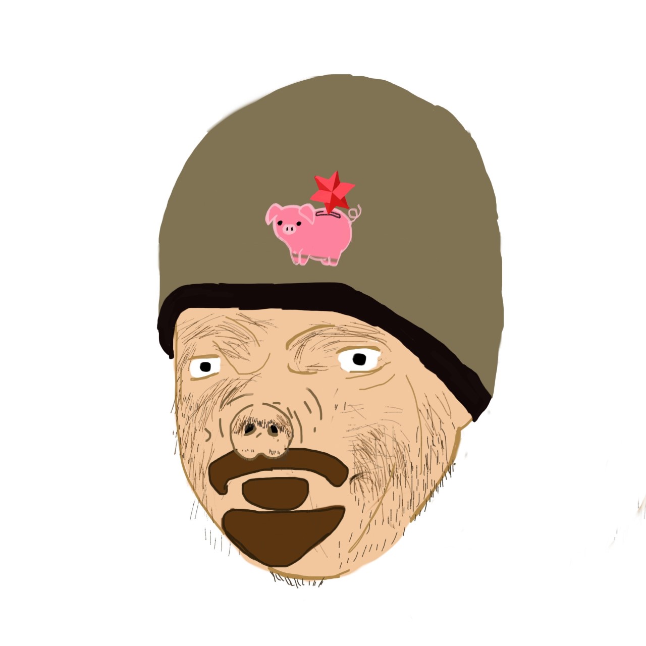 dspig.jpg