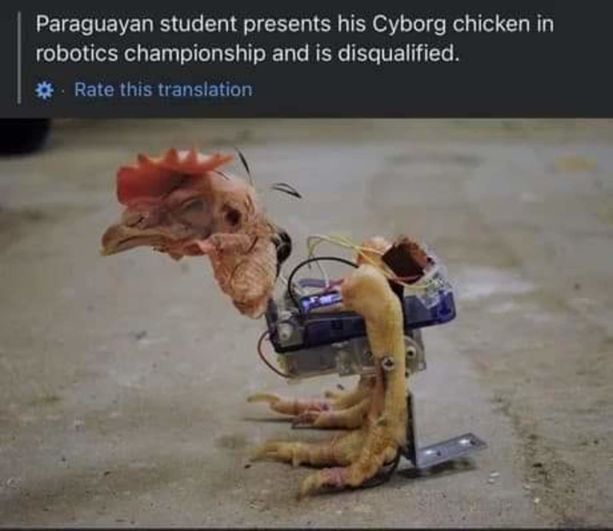 E0UvaUtVgAIaTFv.jpg