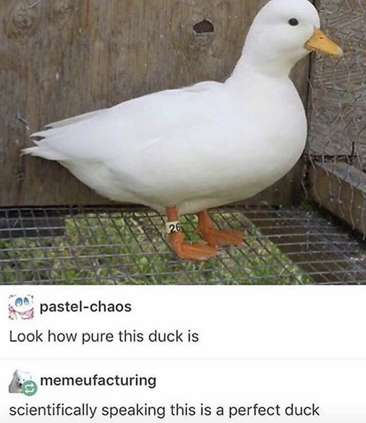 E56BEEBF-DC4E-4340-9BD3-DDC8B30D4F18.jpeg