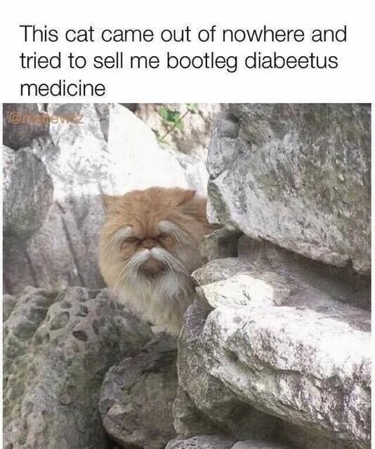 EA3088EE-56E0-46BA-BFEF-7E7587DD64C1.jpeg