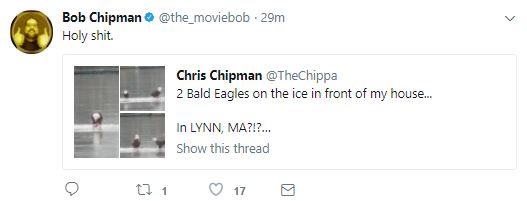 Eagle.JPG