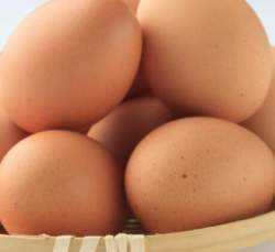 EGGS.png