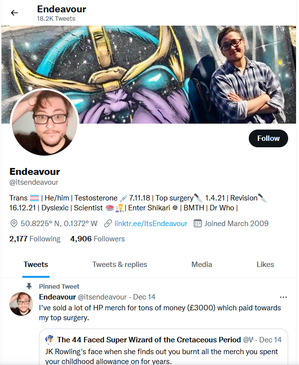 endeavourprofile.png