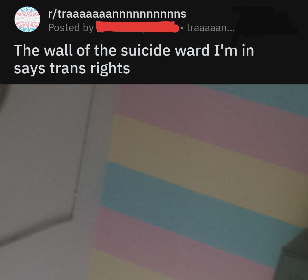 EO-_BIMX4AAXXKu.jpeg