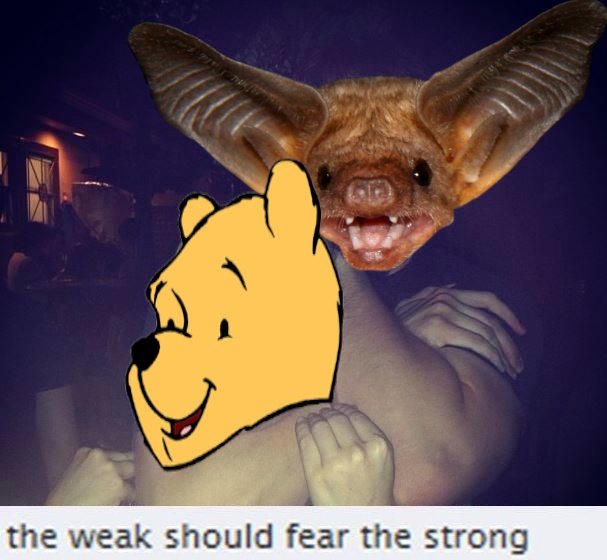 EPjzWPYX4AAq6JI.jpg
