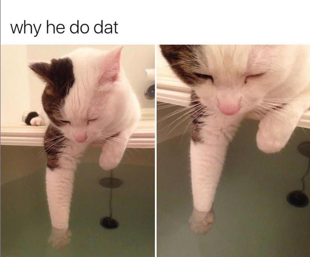 EsbmKRTXYAEabNY.jpg