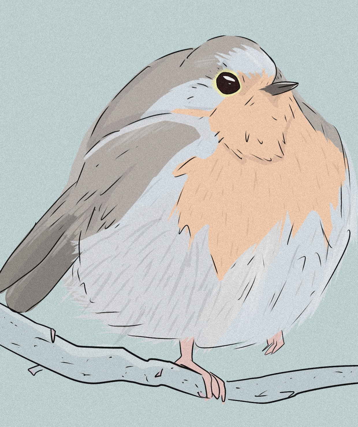 European Robin.jpg