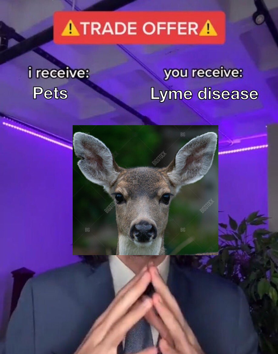 EzCR8pIWUAQLxul.jpeg