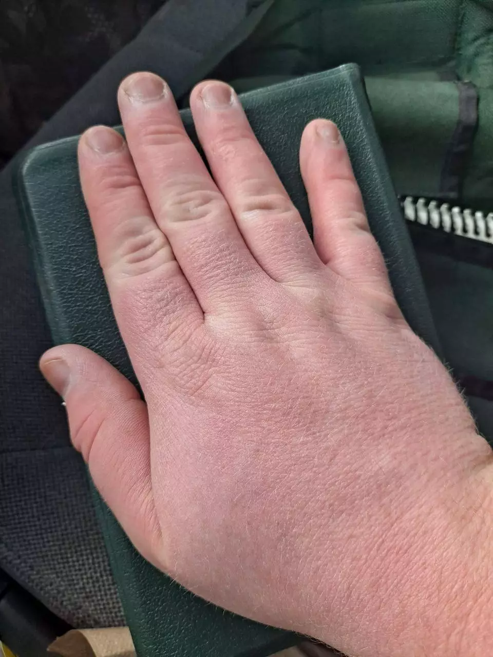 fatvirginhands - Copy.webp