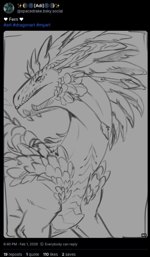 fern sketch.png