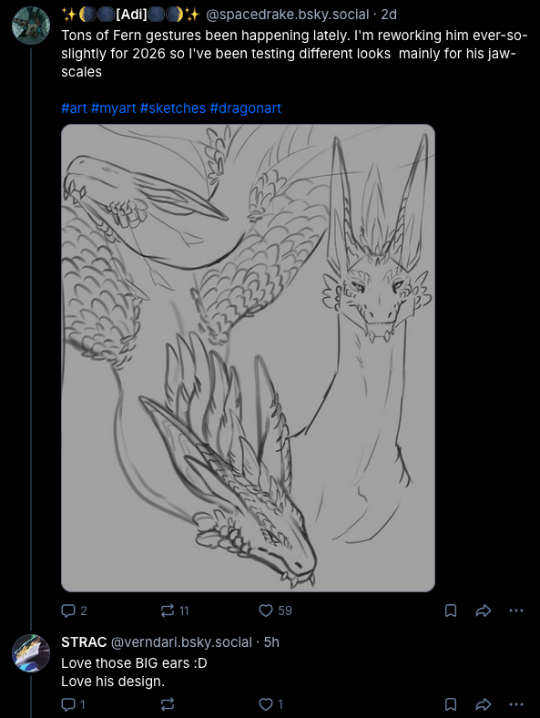 fern sketches 1.png