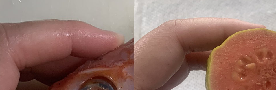 fingerwrinkles.jpg