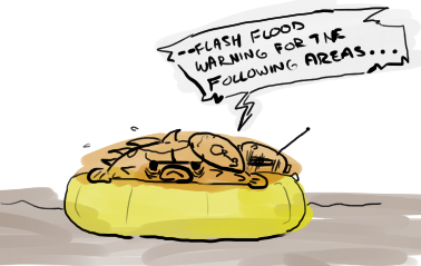 flashflood.png