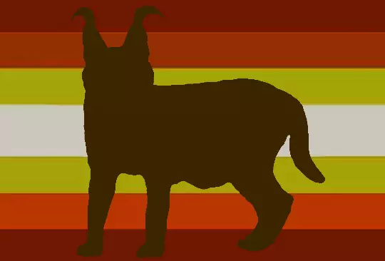 Floppa_Pride_Flag.webp