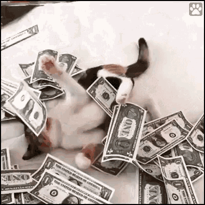 friday-pay-day.gif
