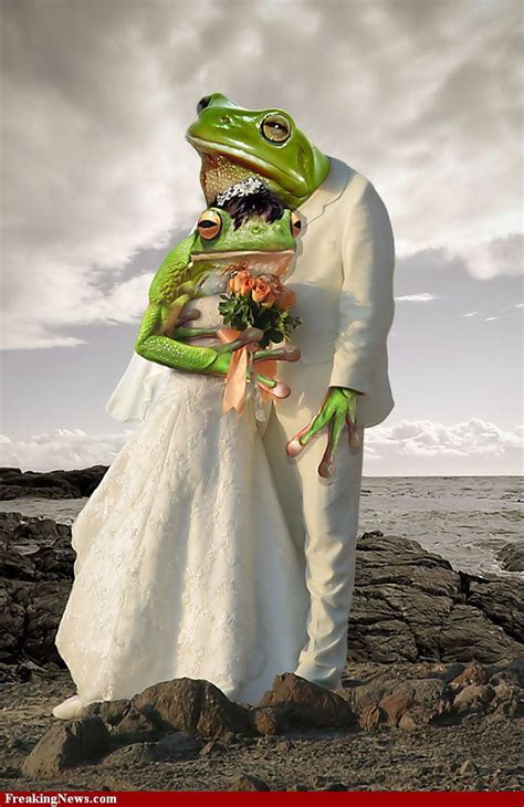 froggie 4.jpg