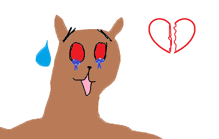 frr.png
