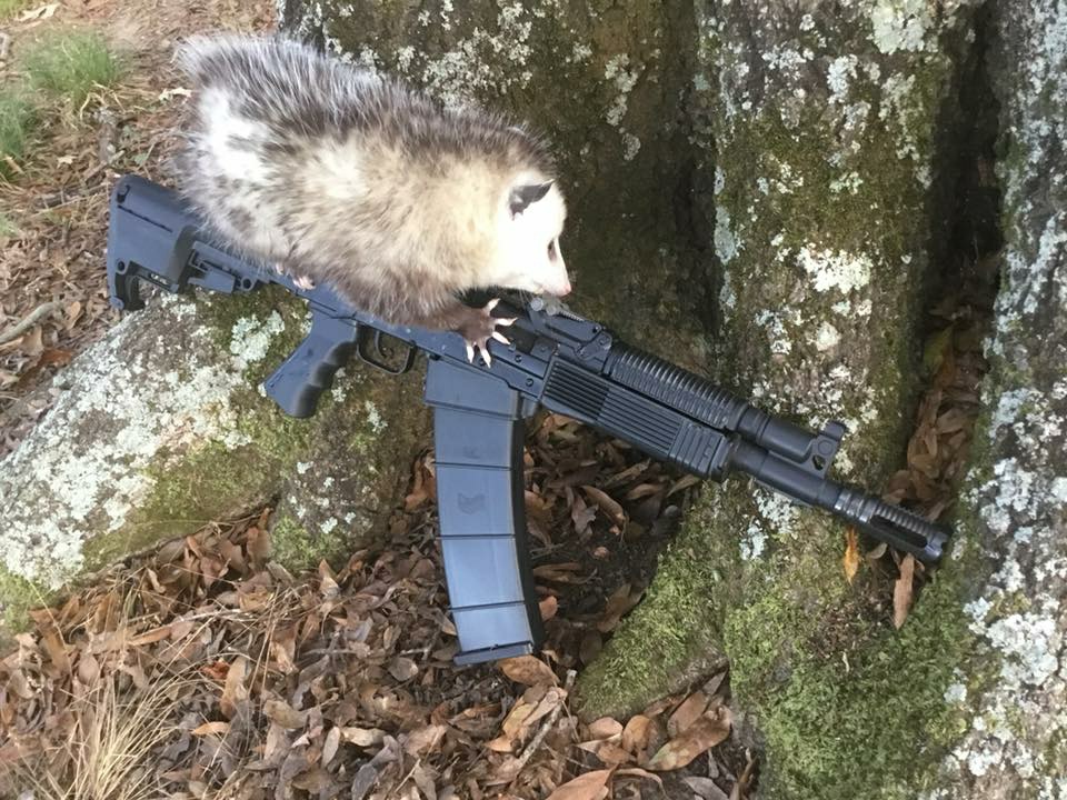 get fucked.jpg