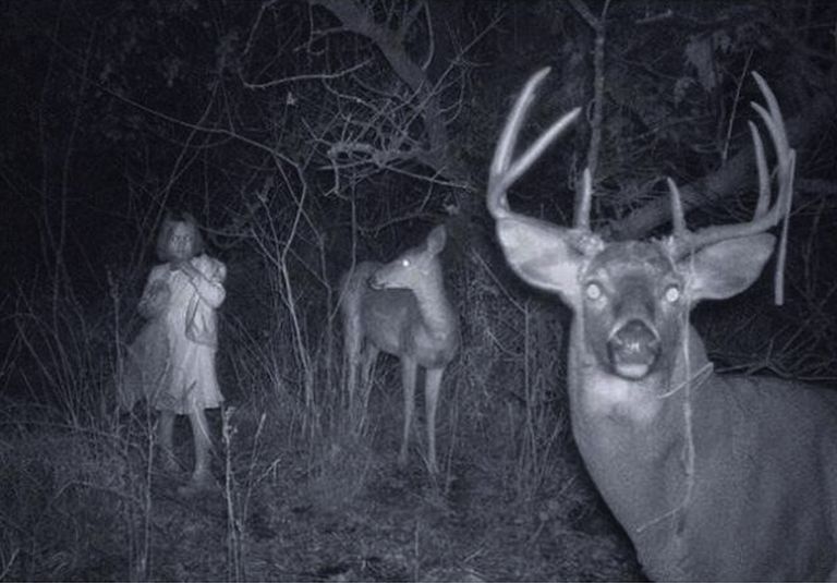 ghost-and-deer-56a6edd35f9b58b7d0e593b6.jpg