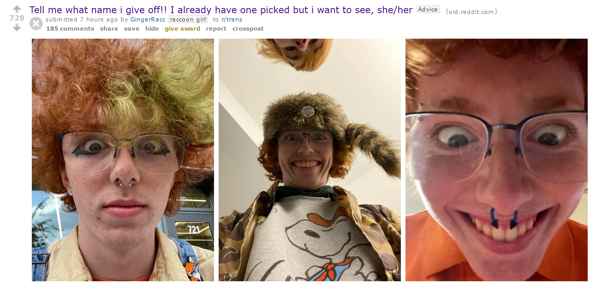 gingerraccoontroon.png
