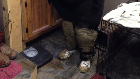 giphy (2).gif