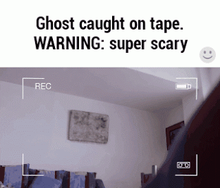 giphy.gif