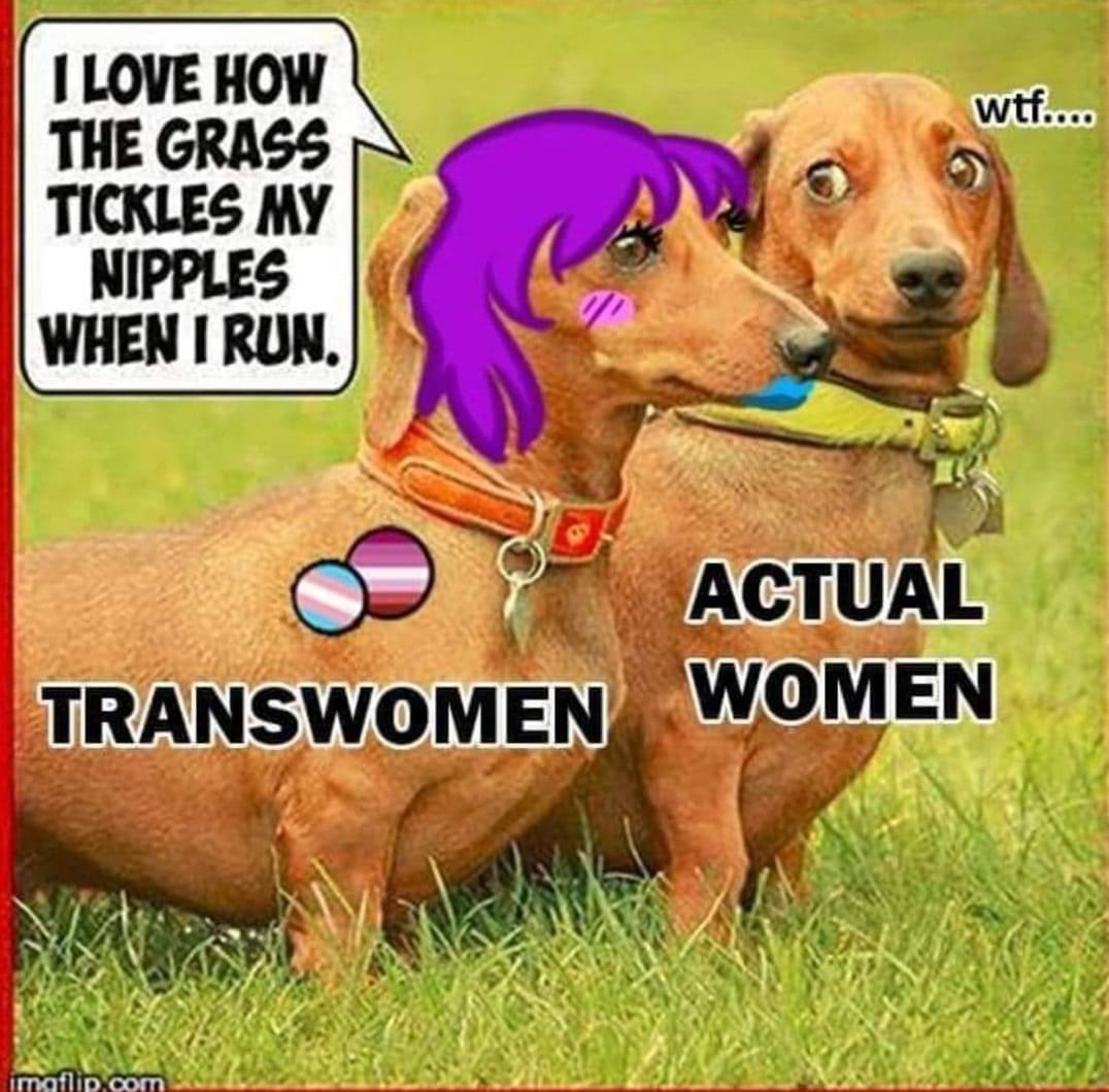 GMbzrsZWMAEwDST.jpg