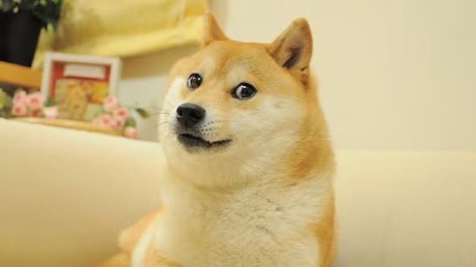 GOU2dl-WcAAzdfz.jpg