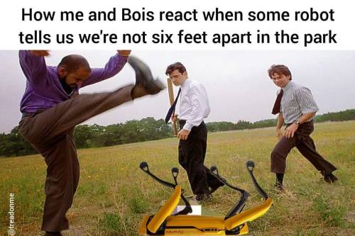 grf.jpg