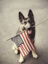 gsdflag.jpg