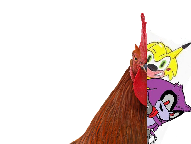 half the rooster.png