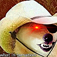 hallodoggo.jpg