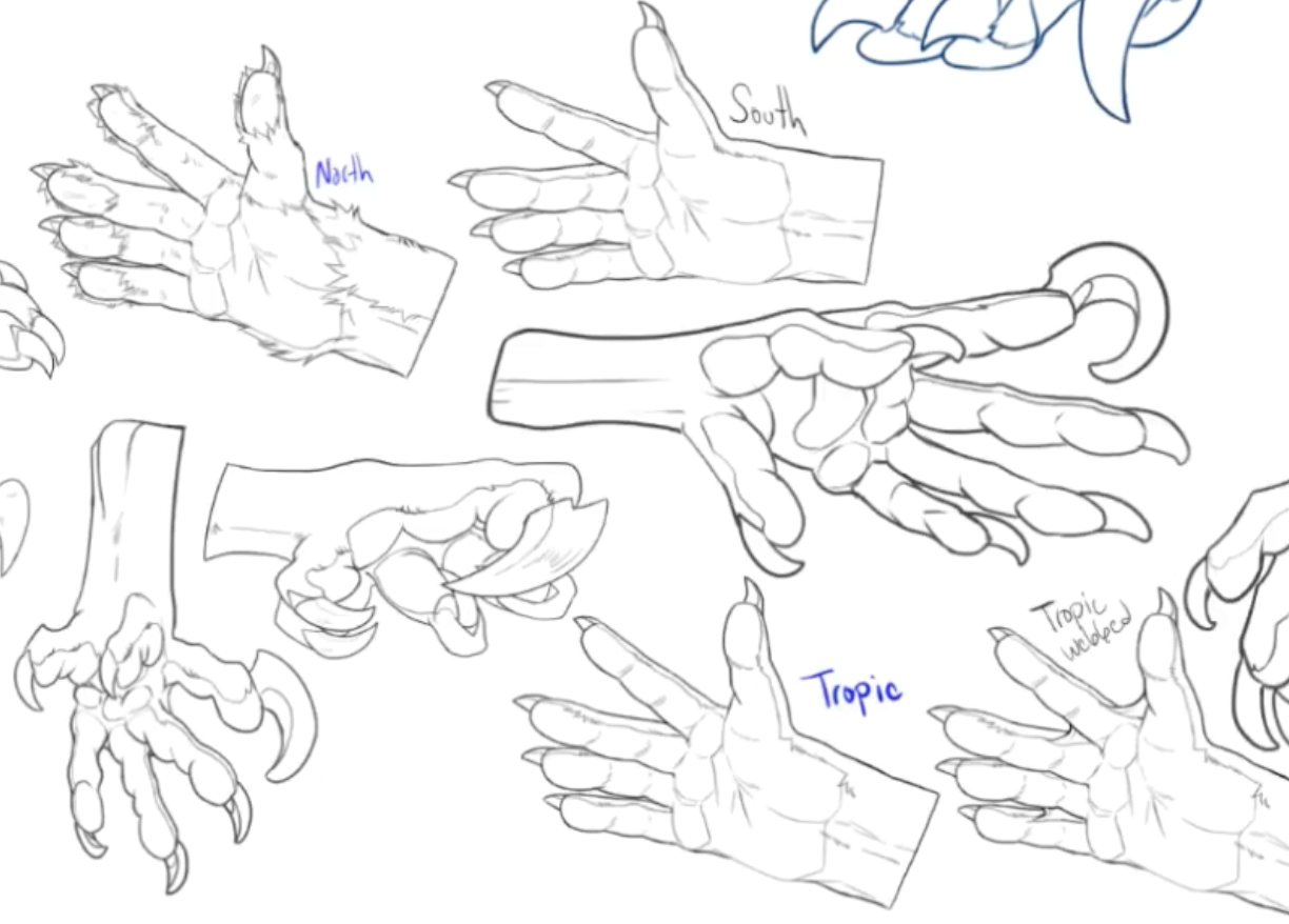 hands 1.png