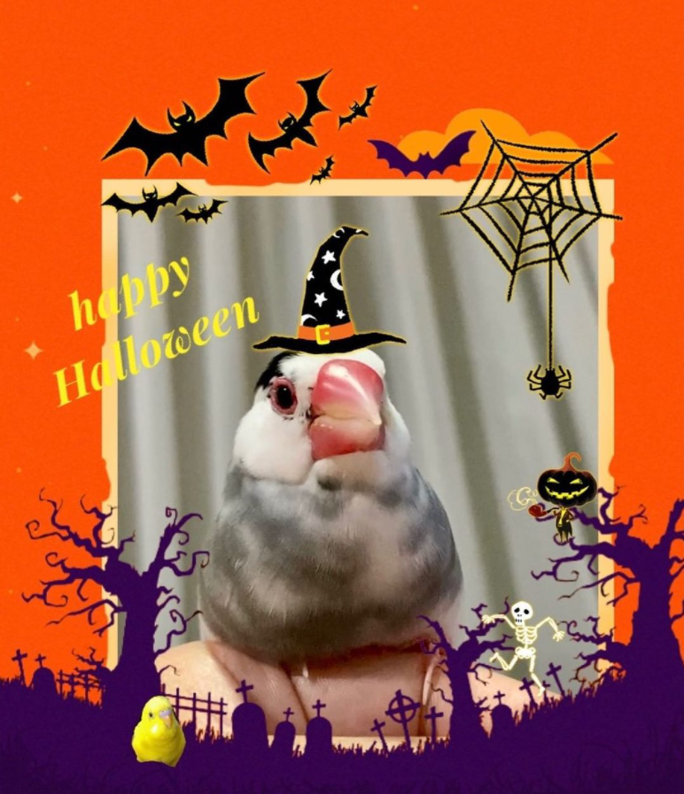 happy halloween.png