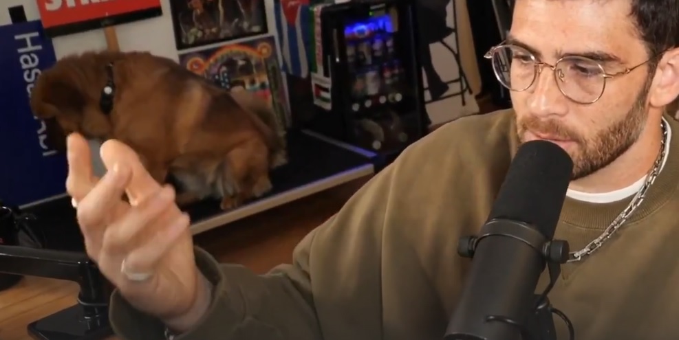 hasan dog shock collar.jpg