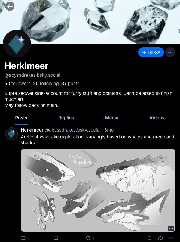 herkimeer.png