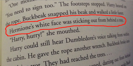 hermione_white_face.png