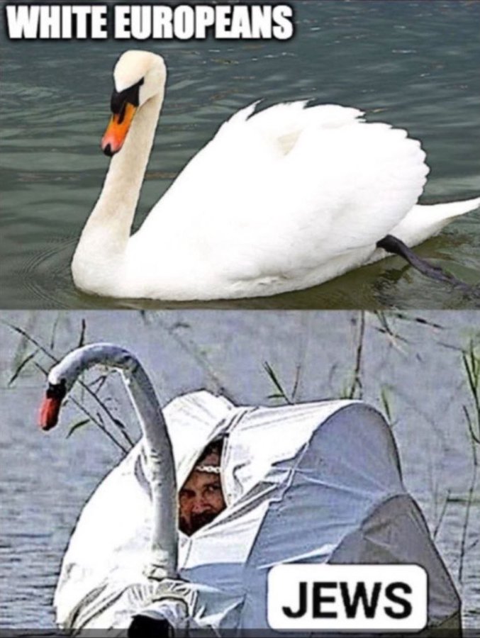 HLngjSObUAAruLq.jpg