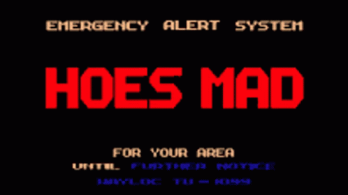 hoes-mad.gif
