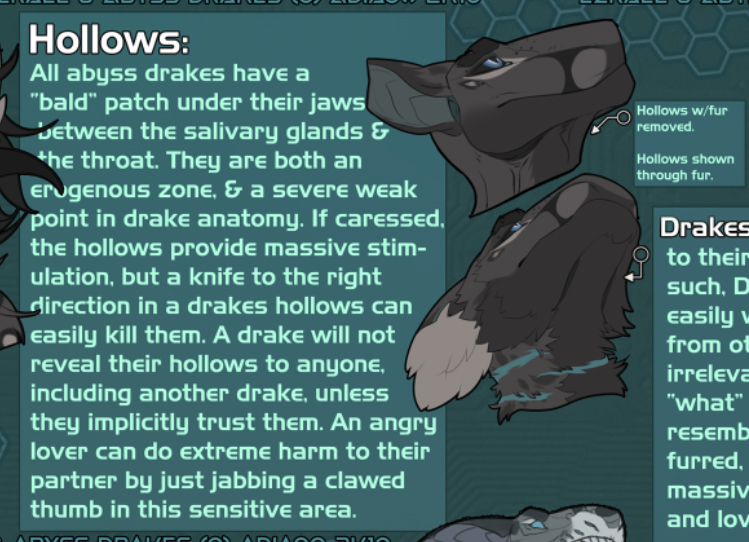 hollows3.jpg
