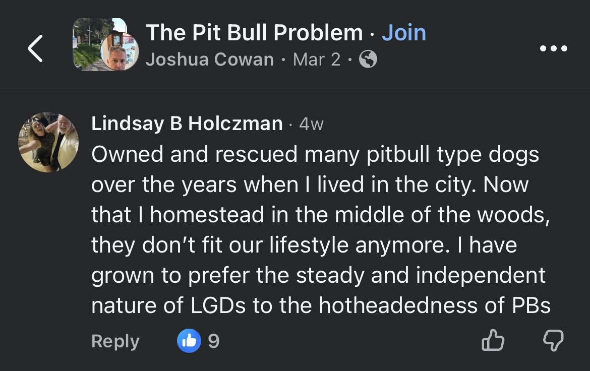 homesteader response.png