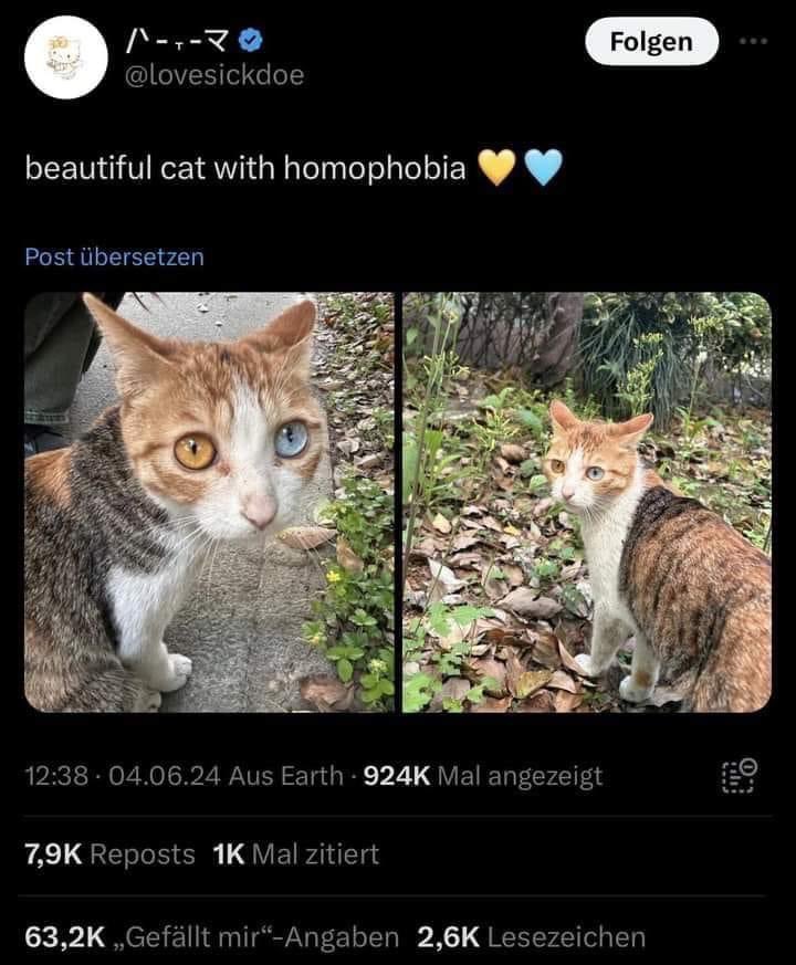 homophobia.jpg