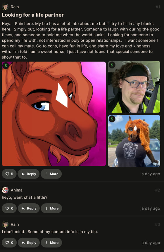 horsie.jpg